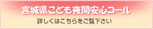 {錧ǂԈSR[