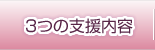 3つの支援内容