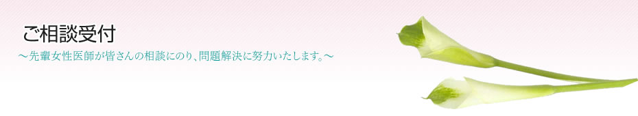 センター概要